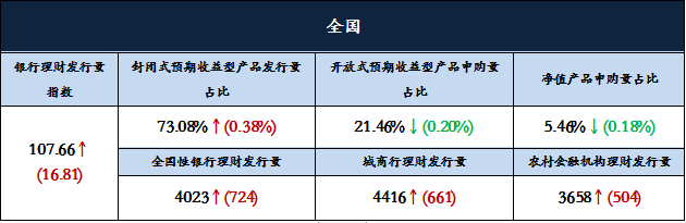 图片11