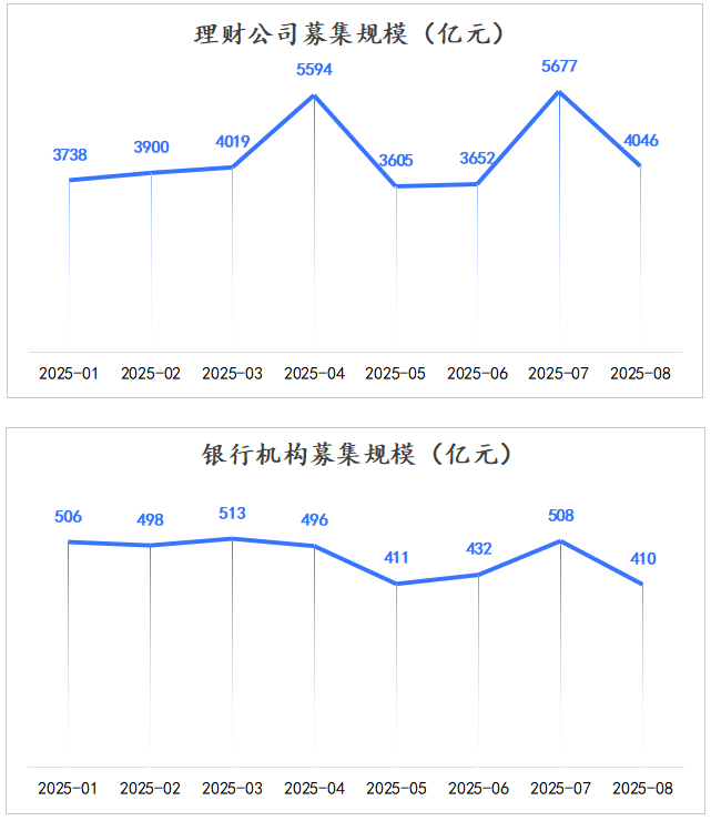 分机构募集规模